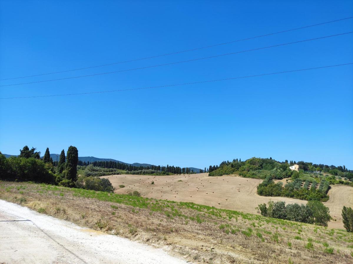 Appartement Il Piccolo Paradiso à Torretta  Extérieur photo